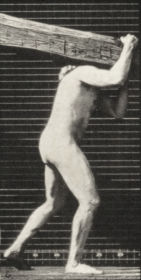 Plate 383 Lifting a log on shoulder — figure reference